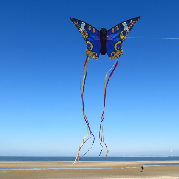 invento-hq-butterflykite