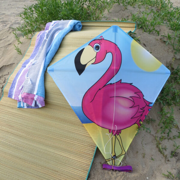 eddy vlieger flamingo