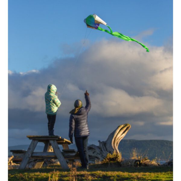 stokloze-vlieger-in-de-lucht