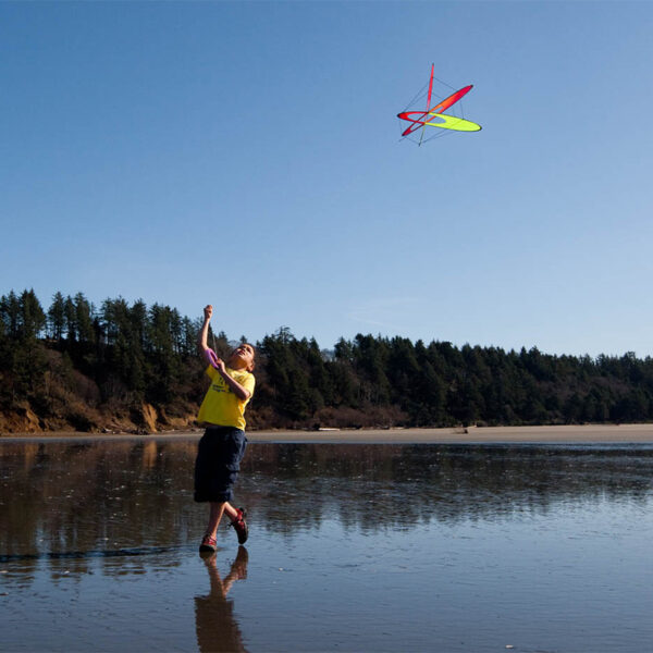 EO prism kites vliegeren op strand