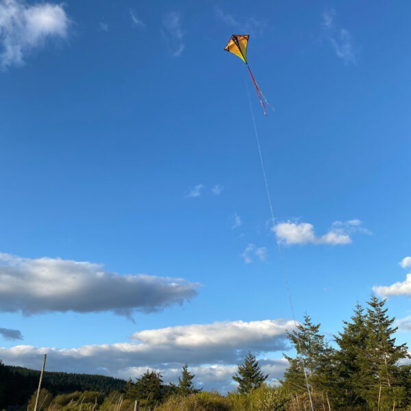 prism vertex in de lucht