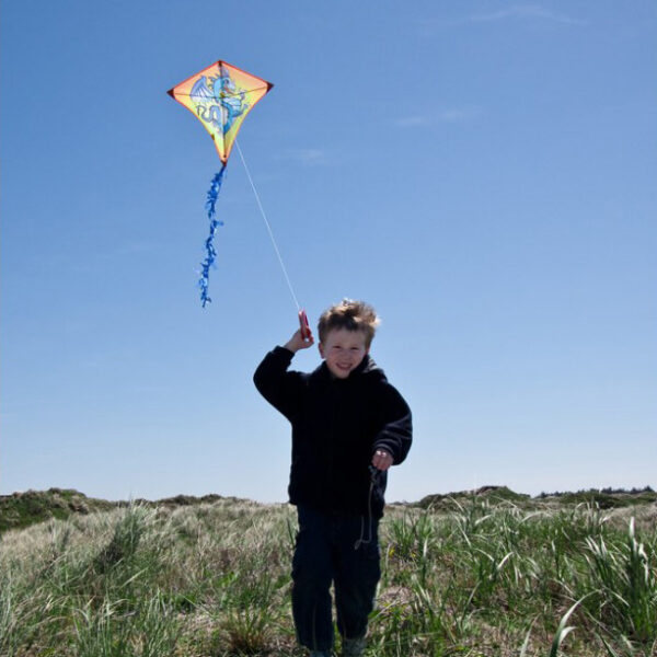 dragon kite in de lucht