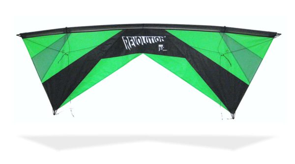 Groen zwarte rev kite