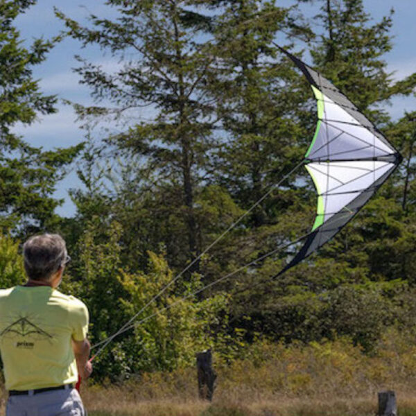 Prism kites synth in het geel