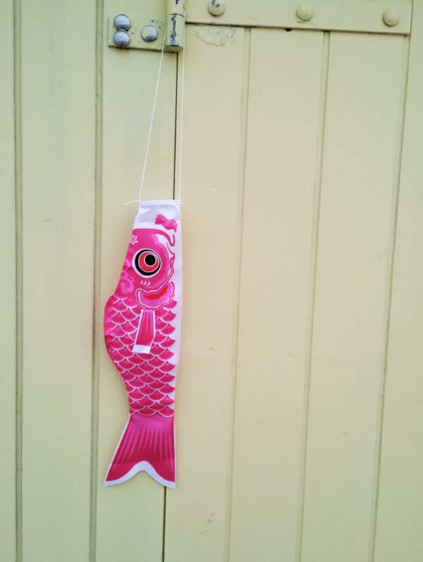 roze koinobori